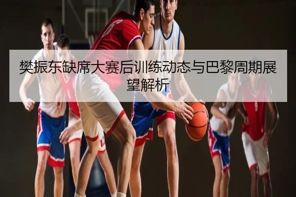 樊振东缺席大赛后训练动态与巴黎周期展望解析